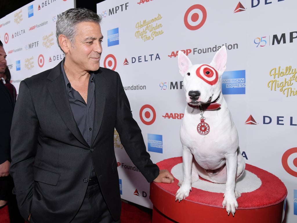 George and Amal Clooney at Hollywood's Night Under the Stars