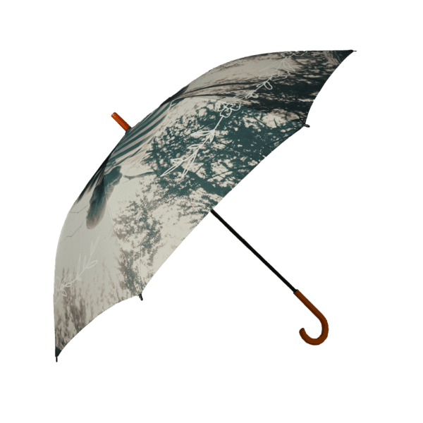 Taylor Swift Please Picture Me Umbrella
