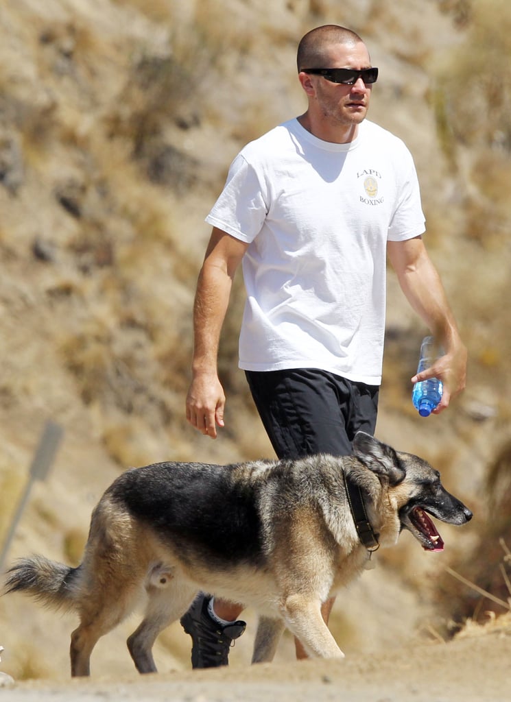 Jake took his dog for a walk around LA's Runyon Canyon in September 2011.