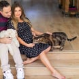 Boy Meets World's Danielle Fishel Recently Did the Most Darling Maternity Shoot, and Her Pets Are Involved!