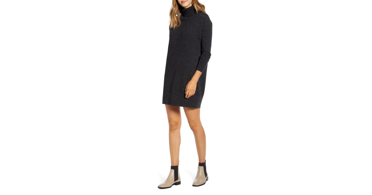 Everlane turtleneck 2025 dress