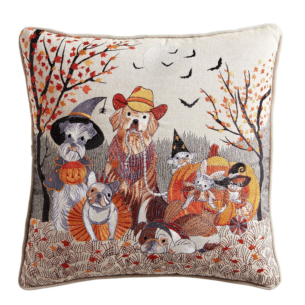 Dog and Cat Trick or Treat Pillow
