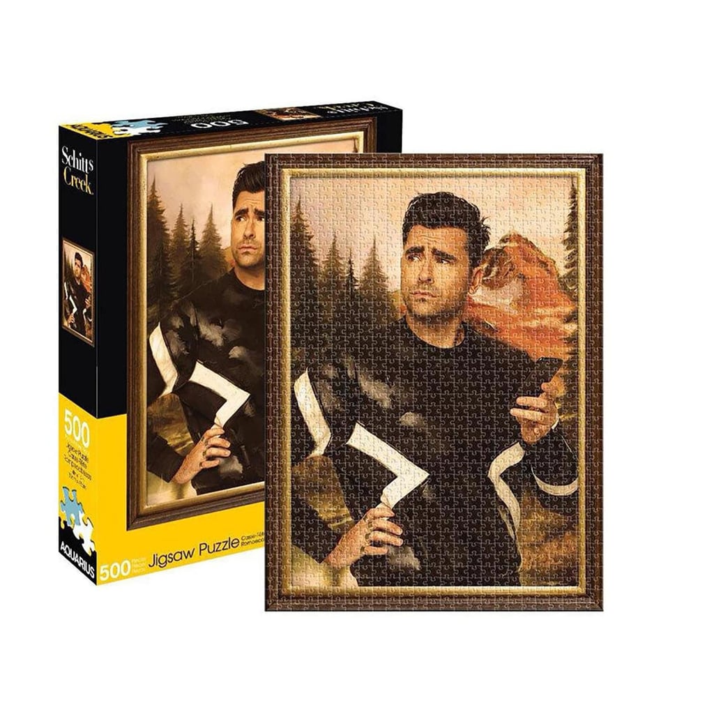 A Cool Puzzle: NMR Distribution Schitt's Creek David 500 Piece Jigsaw Puzzle