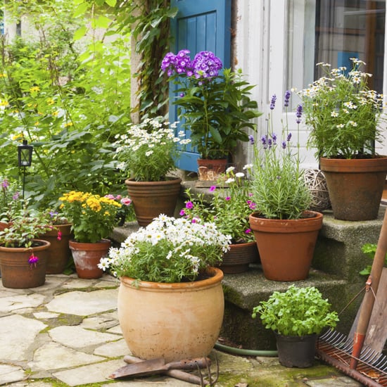 HGTV Elbow Room Host Chip Wade Shares the Best Backyard DIYs