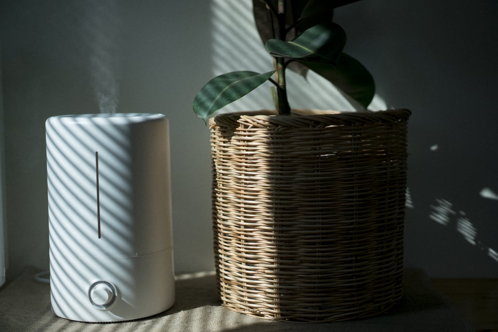 Difference Between Diffuser and Humidifier POPSUGAR Fitness