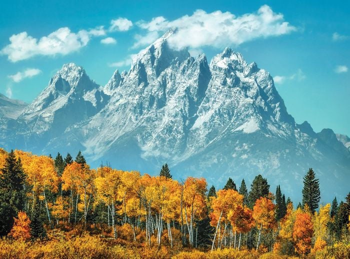 Grand Tetons in Fall 1000 Piece Jigsaw Puzzle