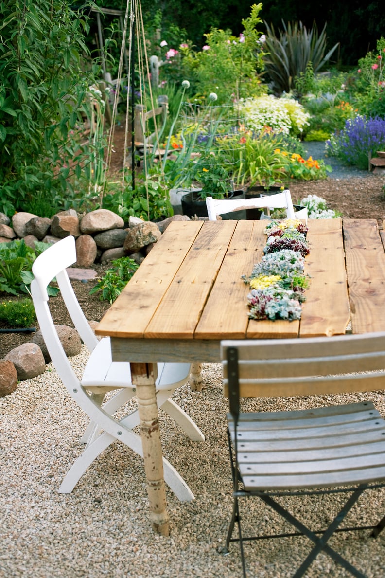 Succulent Table