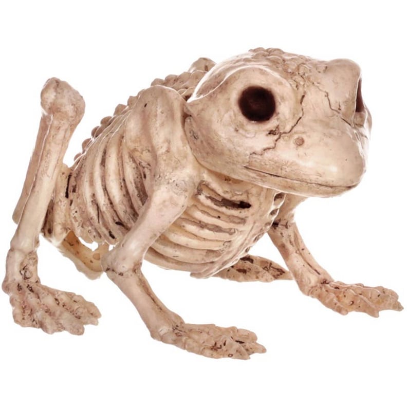 Frog Skeleton Halloween Decoration