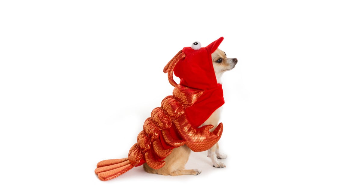 Lobster (10) PetSmart Dog Halloween Costumes 2016 POPSUGAR Pets