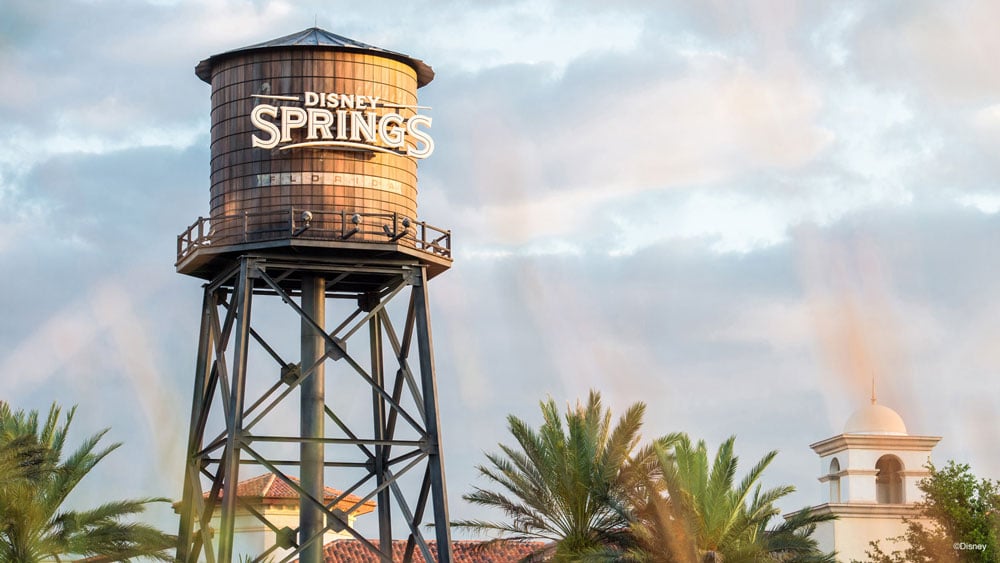 Disney Springs Zoom Background