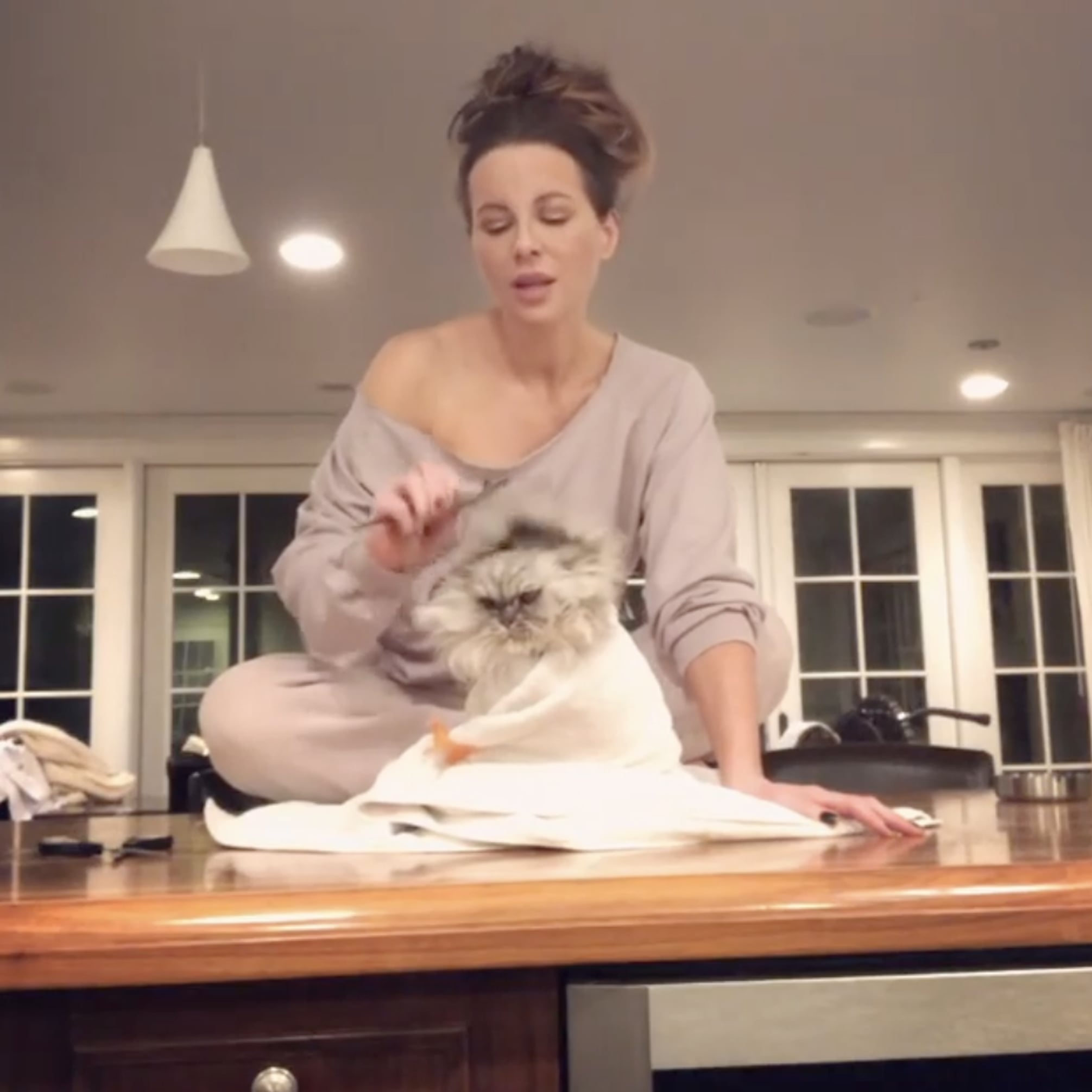 Videos of Kate Beckinsale's Two Cats, Clive and Willow PS Pets