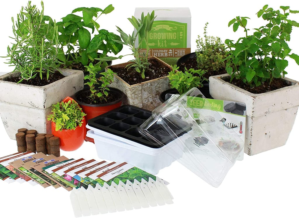 Culinary Indoor Herb Garden Starter Kit | The Best Indoor Garden Kits ...