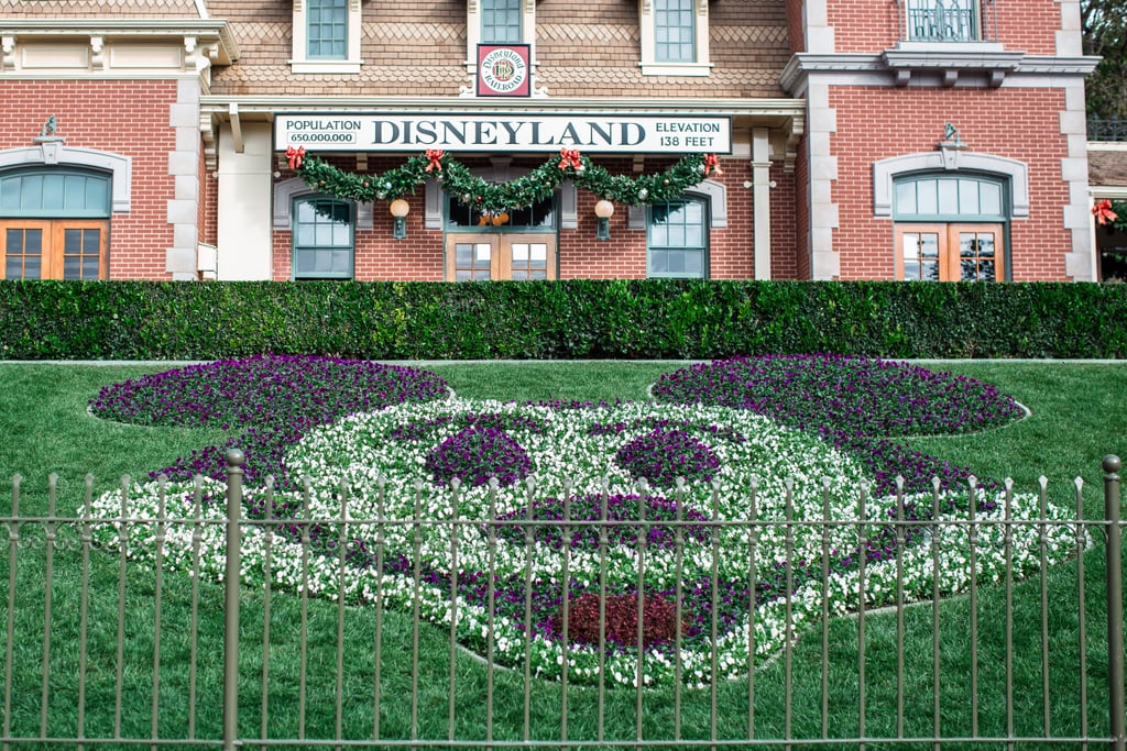 Disneyland Proposal