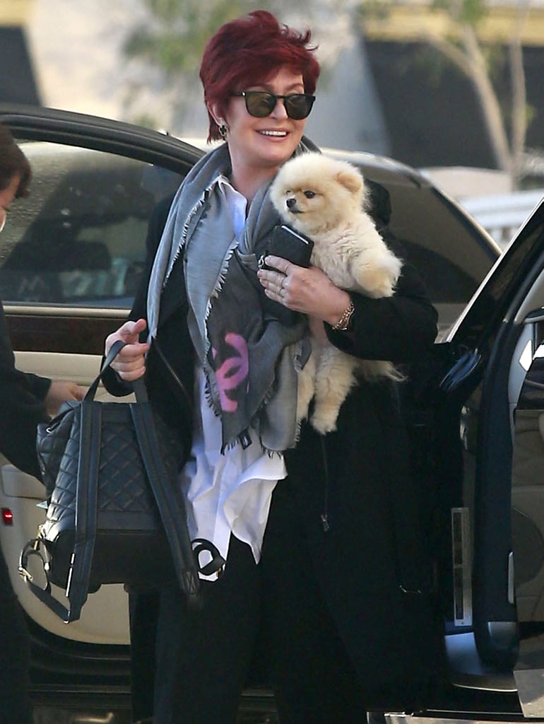 Sharon Osbourne headed out in Beverly Hills with her adorable BFF on Monday.
