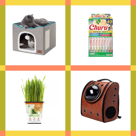 Best Gifts For Cat-Lovers, According to Two Cat Ladies