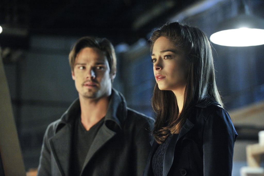 Beauty and the Beast | TV Shows Ending in 2016 | POPSUGAR ...