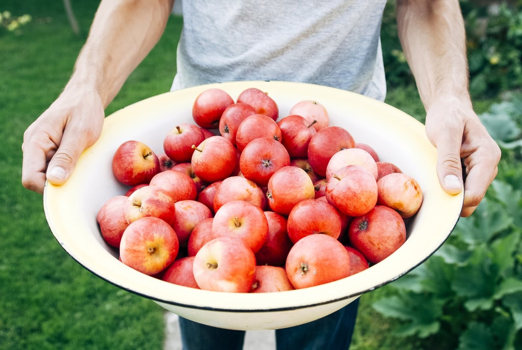 Libra (Sept. 23-Oct. 22): Apple Picking