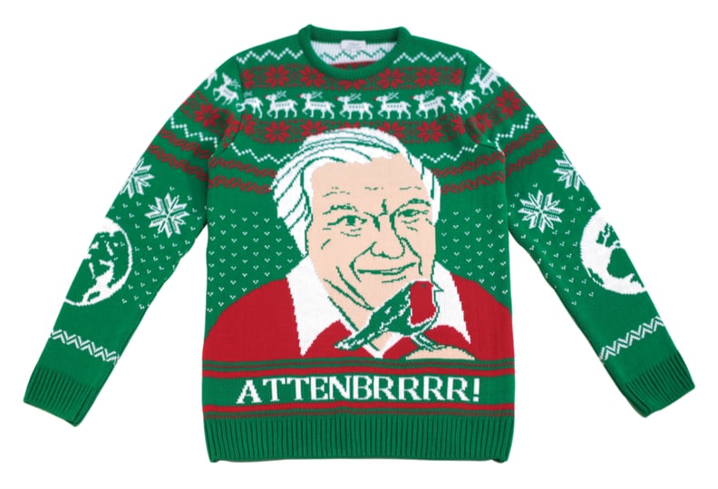 Attenbrrr: David Attenborough Holiday Sweater