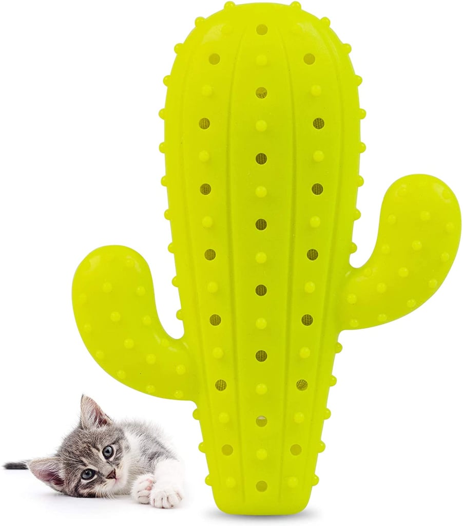 Pet Craft Supply Cactus Cat Chew Toy