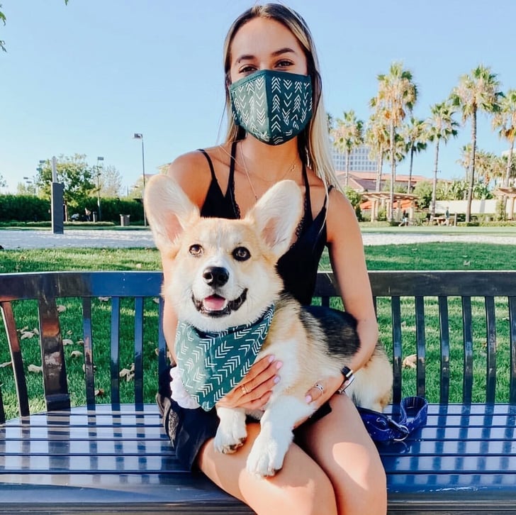 matching dog bandana