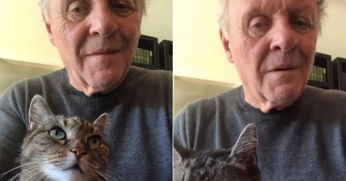 Watch Anthony Hopkins Play Piano For His Cat in Cute Video PS Pets