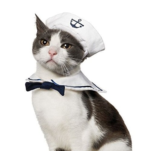 Sailor Cat Costume | Best Cat Costumes For Halloween 2020 | POPSUGAR