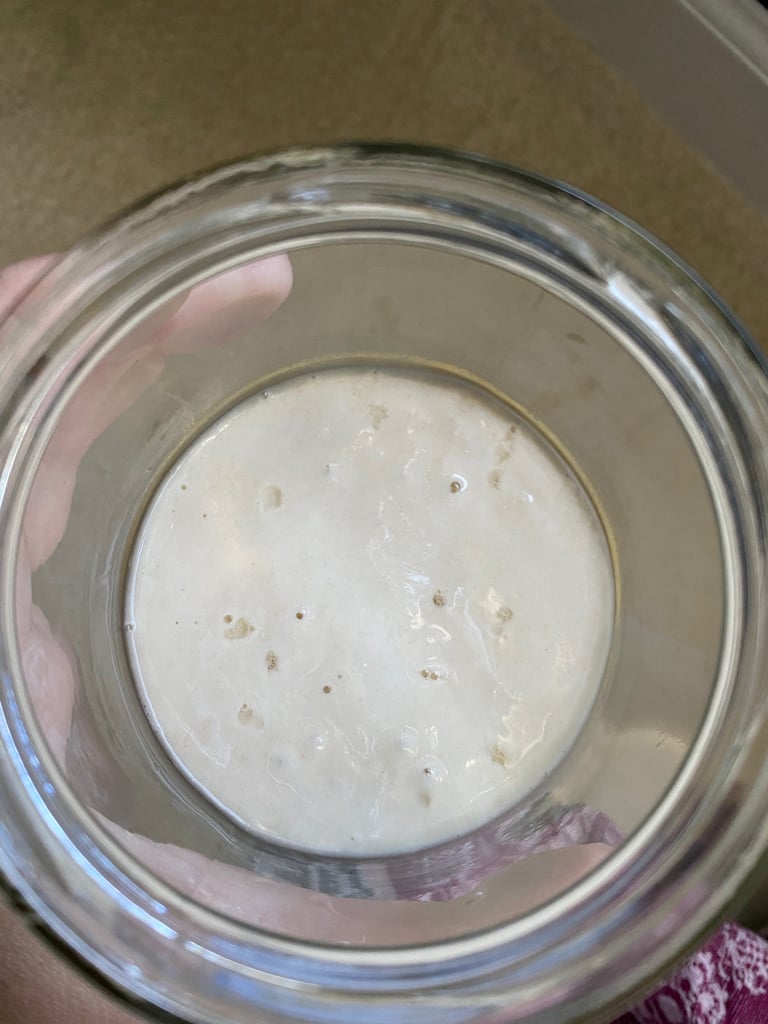 Sourdough Starter Day 4