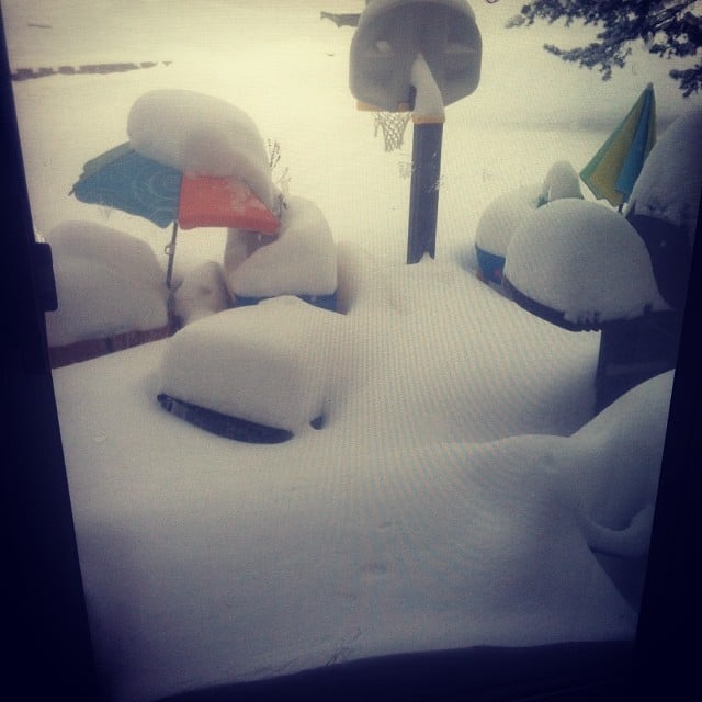Don't even try to play outside.
Source: Instagram user k0r3an6irl