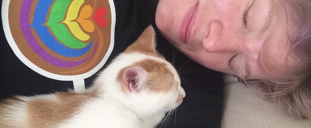 Life Lessons I Learned From My Cat