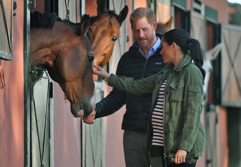 Meghan and Harry With Horses on Morocco Tour February 2019