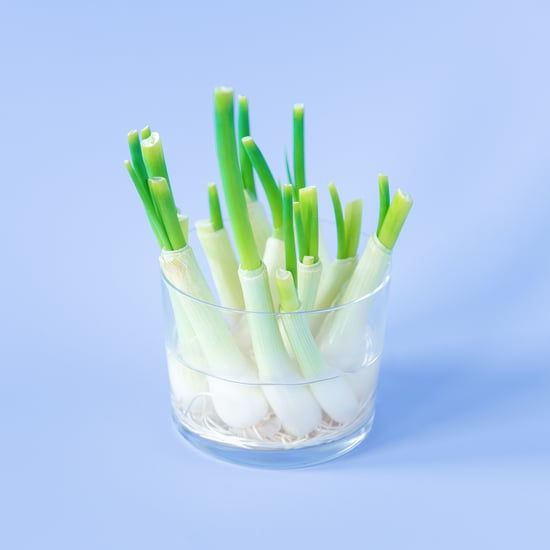 How to Regrow Green Onions in Water