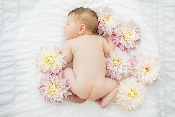 Flower Crown Newborn Photo Shoot