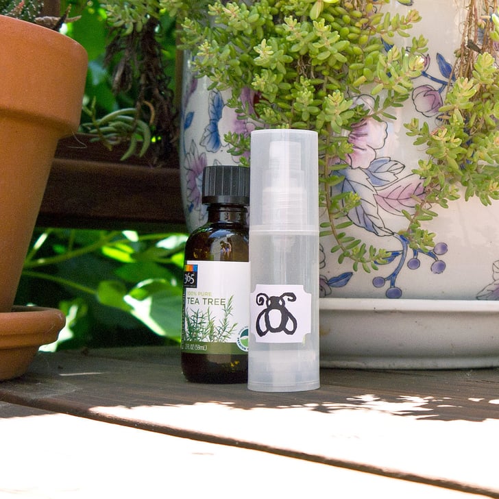 Two Ingredient Bug Spray Natural Bug Repellents POPSUGAR Smart