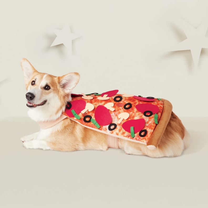 Pizza Dog Costume