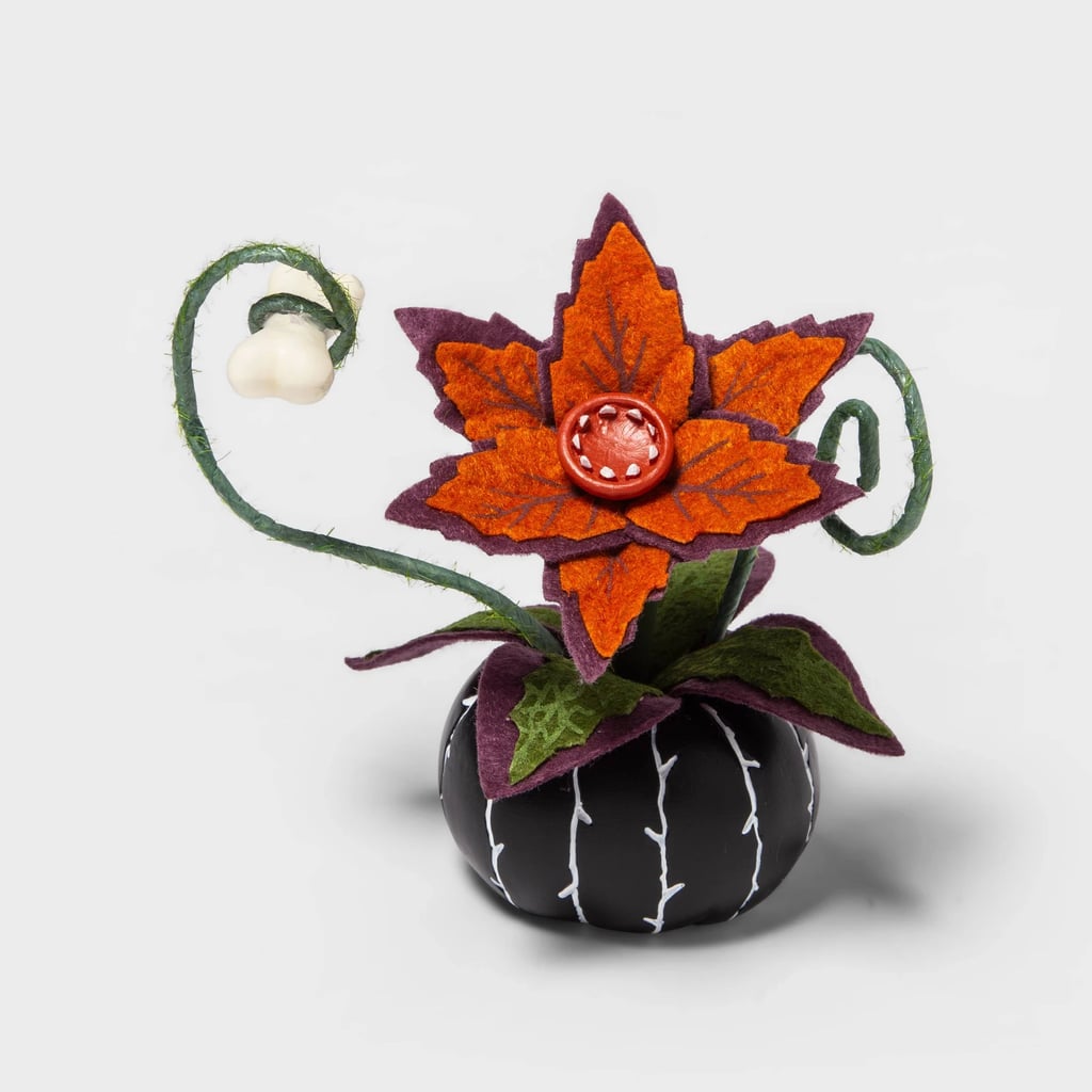 Target Large Bat Decorative Clear Plastic Cloche With Black Base Shop