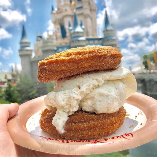 Walt Disney World Churro Ice Cream Sandwiches