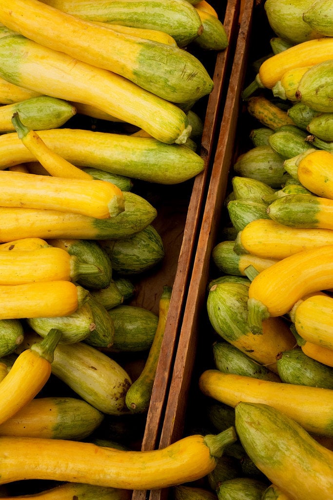 Summer Squash