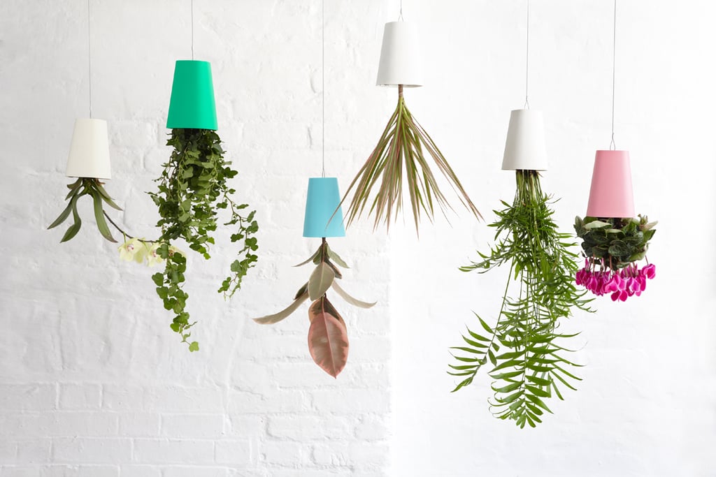 Sky Planters