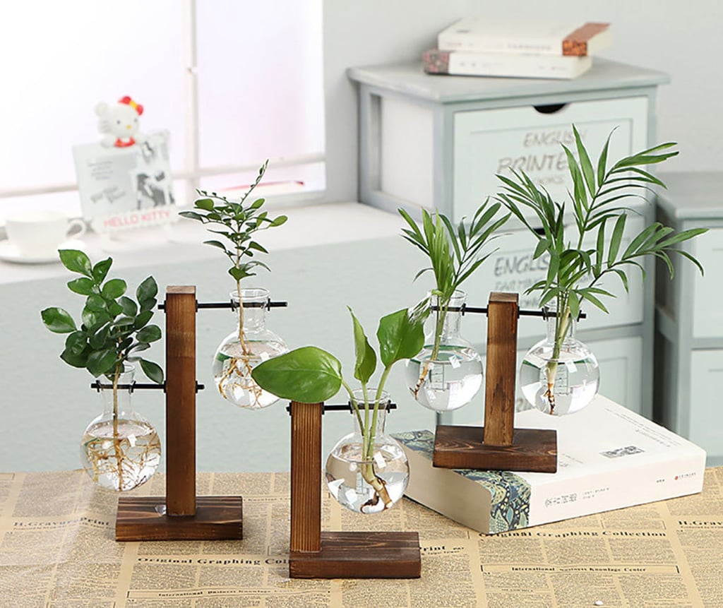 Aesthetic Terrarium Transparent Glass Plant Vases