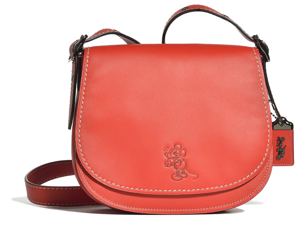 Coach x Disney Collection