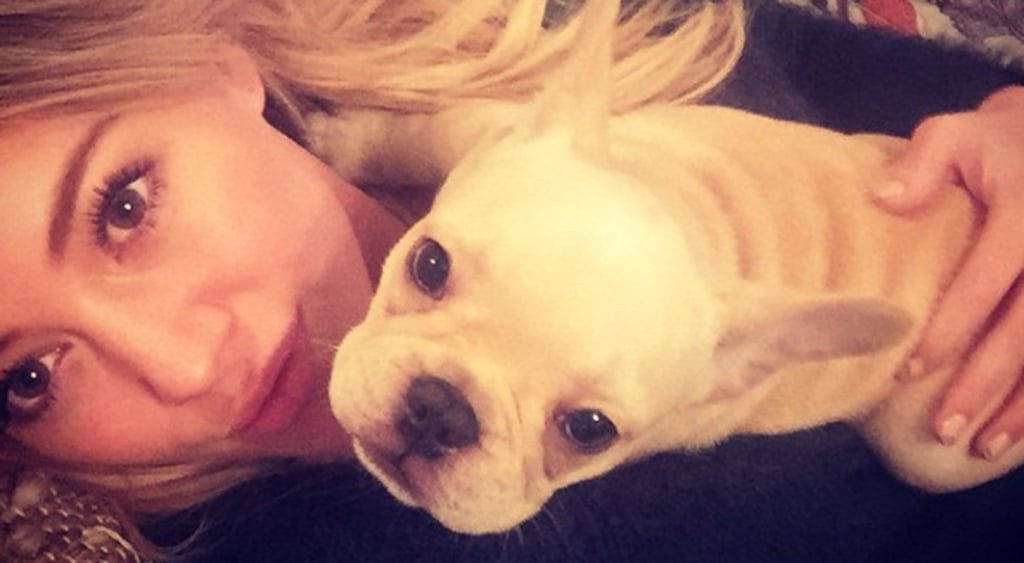 Hilary Duff's Dog Beau Dies
