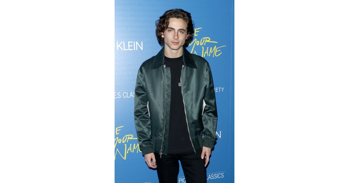 timothée chalamet funko pop