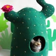 I'd Like to Request a Human-Sized Version of Etsy's Cactus "Cat Cave"