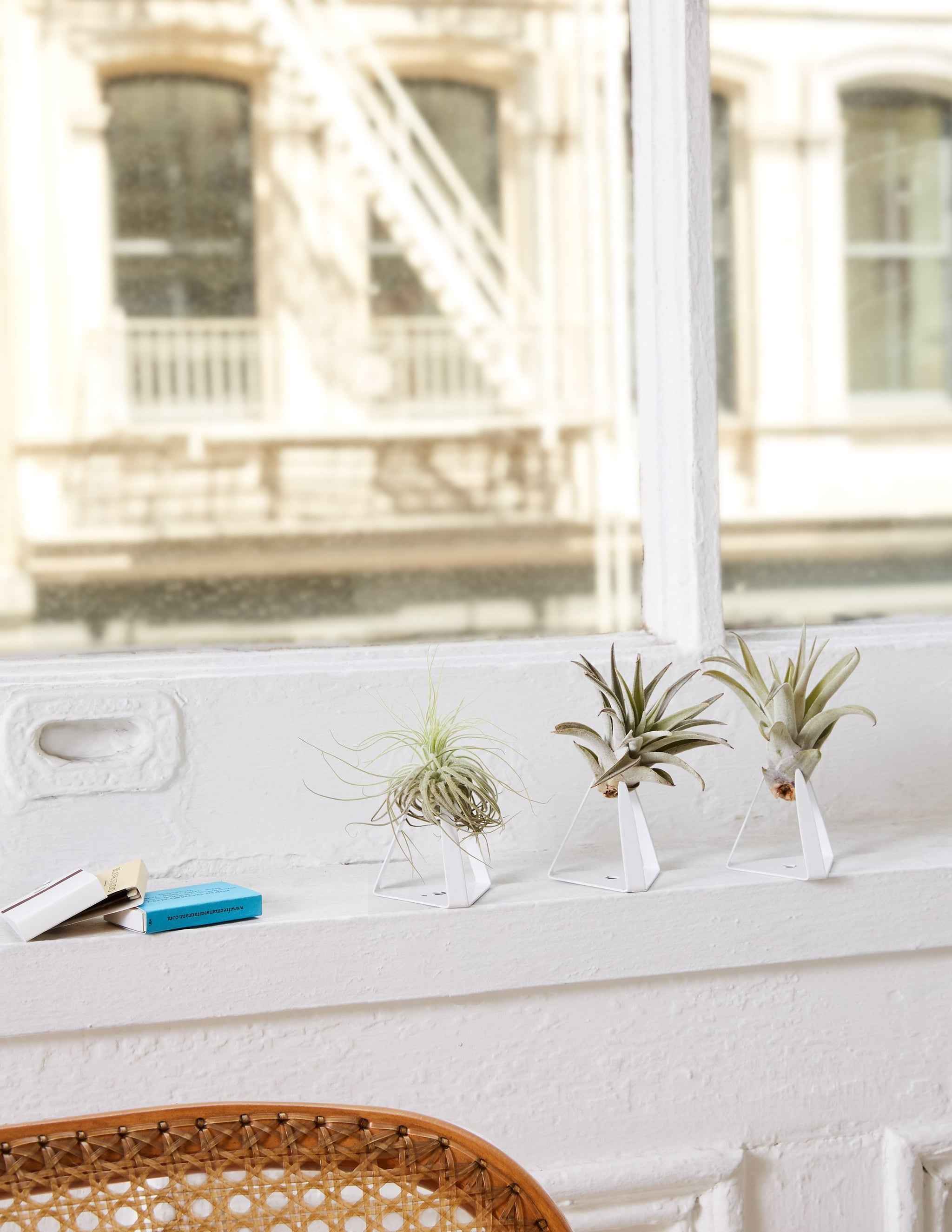 Best Houseplants For Bathrooms Popsugar Home