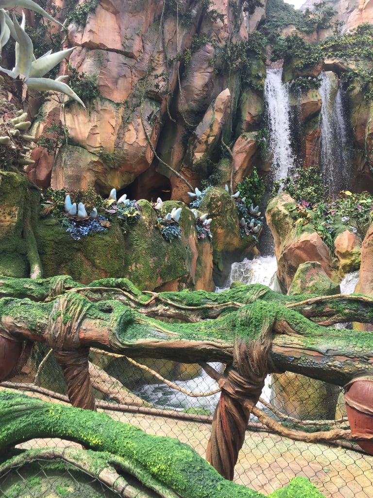 Can You Get FastPasses For Pandora World of Avatar?