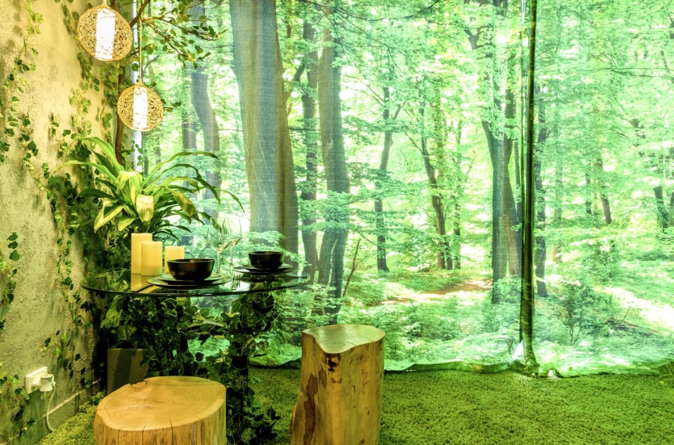 Relaxing Airbnb in Melbourne, Australia