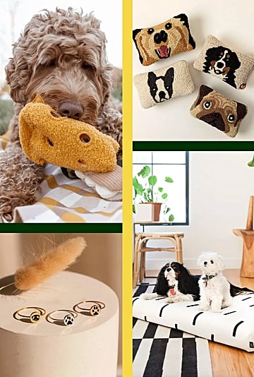 Best Gifts For Dog Lovers