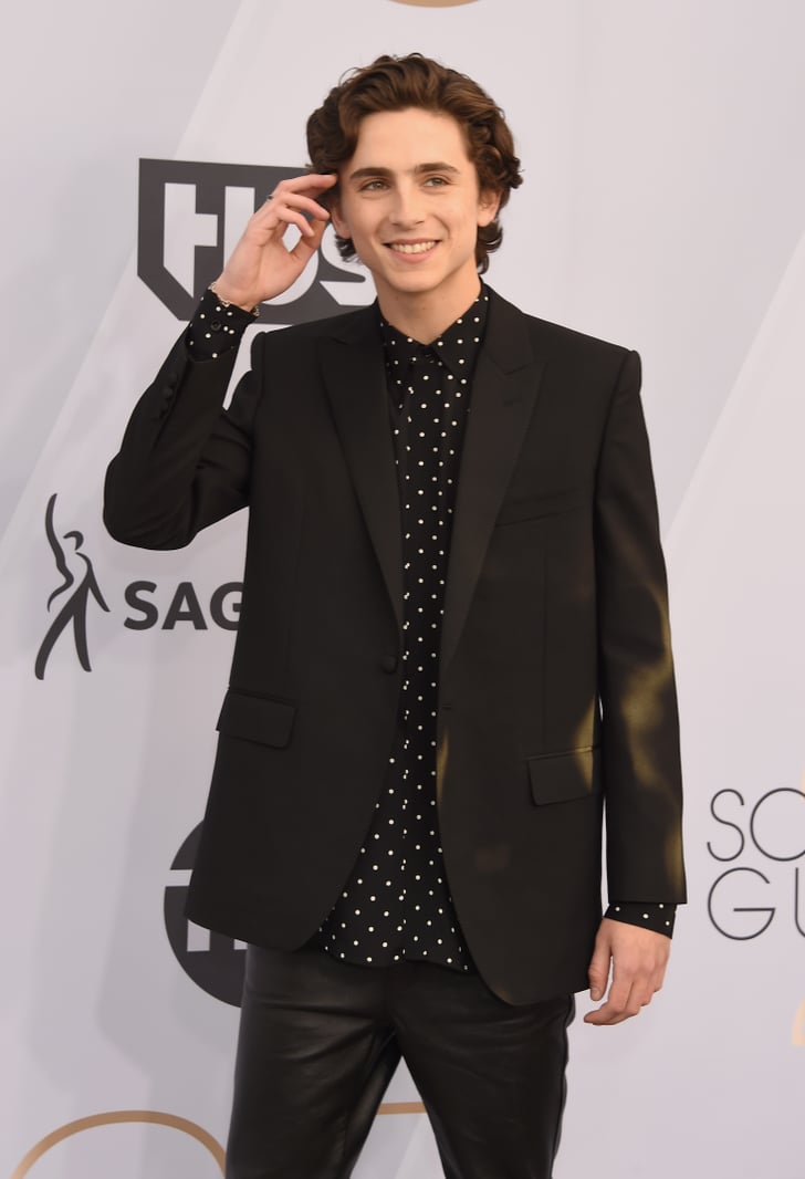 timothee chalamet pop funko