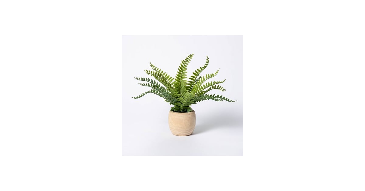 Plant Parent Pick Artificial Fern Arrangement in Pot Best Threshold