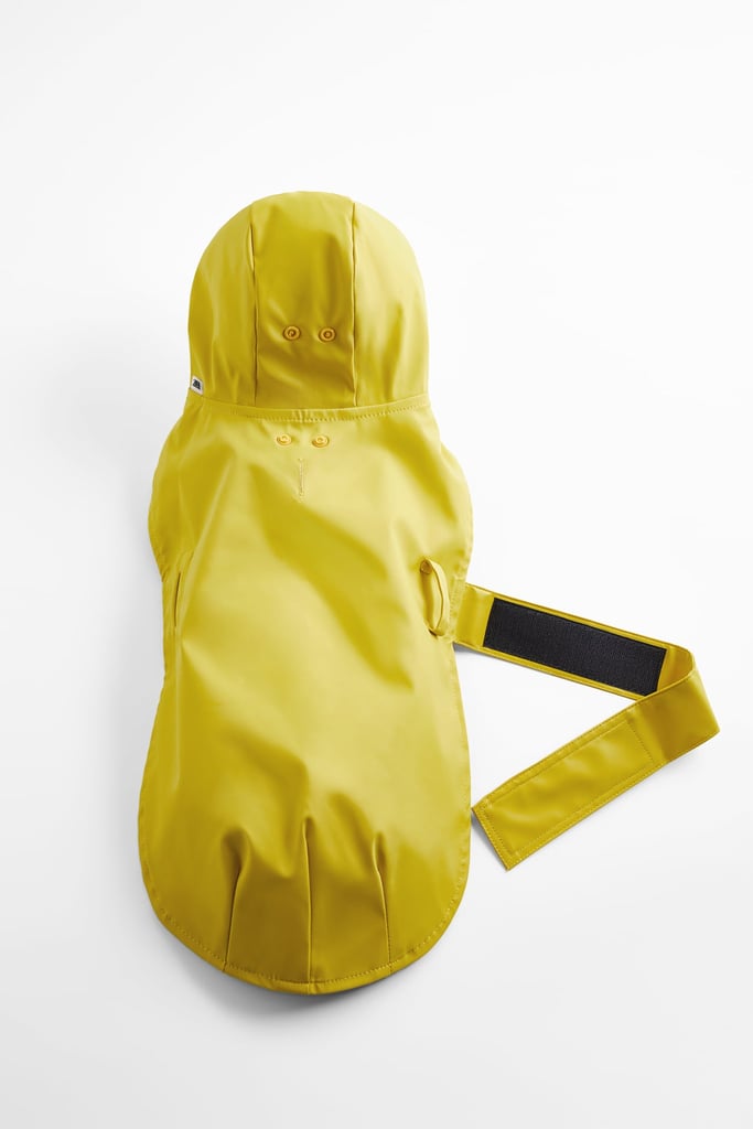Raincoat